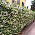 Casa Di Gabry