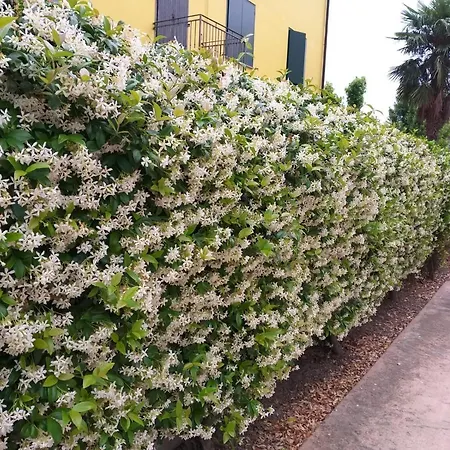 Casa Di Gabry